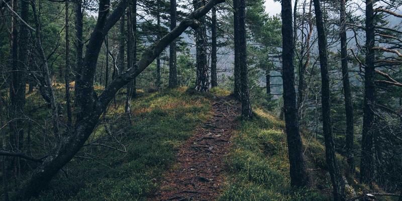 从被动维修到主动守护:青岛成德如何用远程运维与预测性维护重塑机械制造服务新标杆