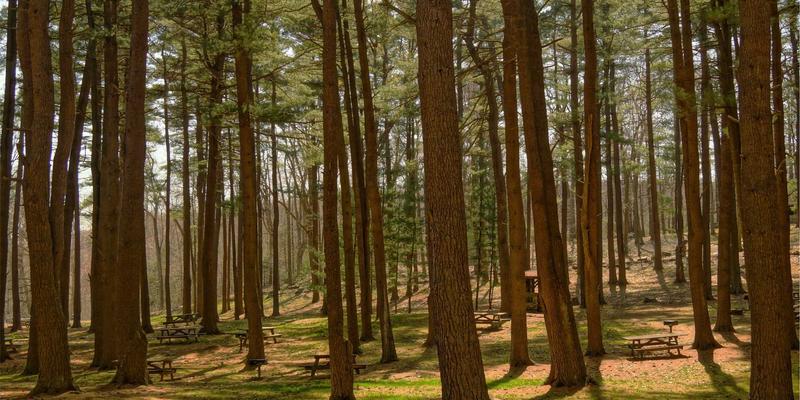青岛成德：以研发与知识产权为矛，构筑精密制造的“技术护城河”